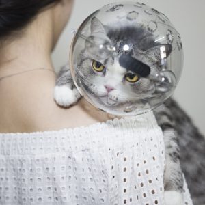 New Cat Space Head Cover Adjustable Kitten Helmet Prevent From Cats Biting Chewing Grooming Breathable Cat Hood - Image 3
