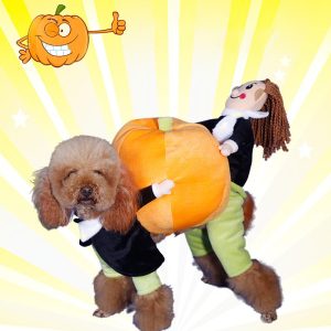 Factory Price Cats Funny Pet Clothes Wholesale Nurse Model Halloween Cosplay Pets Clothes Dogs Dressing - Image 3
