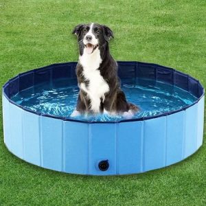 IN STOCK Factory Foldable Pvc	Dog Pool Summer Dog	Swimming Pool	Dog Bath Swimming Pool - Image 5
