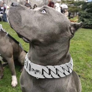 Outdoor Metal Chain Link Do	dog/cat Chain Diamond Collar	crystal Dog Collar - Image 3