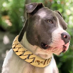 Mexico	De Perros	used Chain Link Dog Kennel for Sale	jewellers Link Dog Check Chain	dog Collar Luxury - Image 5