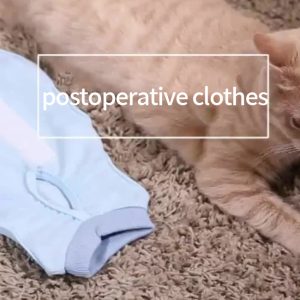 Factory Wholesale High Elasticity Breathable Cotton Pet Surgical Clothing Cat Weaning Clothes Suitical Recovery Suit Cat - Image 5