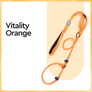 New Pet Leash Explosion-proof Punch P Chain Reflective Breathable Dog Leash One-piece Dog Walking Leash for Pets - Image 4