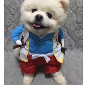 Factory Price Cats Funny Pet Clothes Wholesale Nurse Model Halloween Cosplay Pets Clothes Dogs Dressing - Image 5