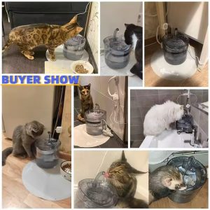 Slope Design Indoor Pet Water Fountain & Water Bottle Dispenser with Charge Function Plastic Automatic - Image 5