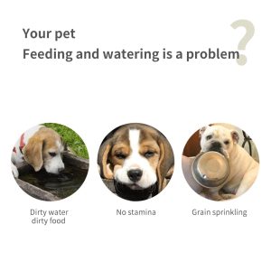 Separable Stainless Steel Dog Double Bowls Pet Cat Food Scoop Water and Food Feeder with No Spill Non-Skid Silicone Mat - Image 3