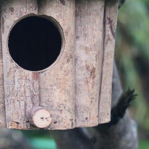 Handmade White Wood Wholesale Spot Hanging Waterproof Windproof Small Parrot Bird House Nest - Image 6