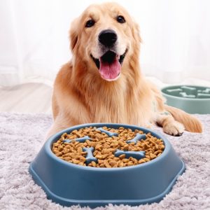 Fish Bone Anti-choking Non-slip Anti Black Mouth Simple Lovely Pet Dog Cat Water Bowl Slow Food Feeder - Image 4