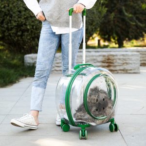 Best-Selling New Products Pet Portable Pet Travel Carrier Bag Rolling Backpack Cat Dog Transporting Luggage Box - Image 6