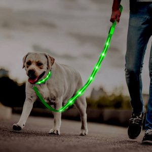 High-End Designer Customized Print Charging Luminous Led Lighting Dog Pet Collar - Image 5