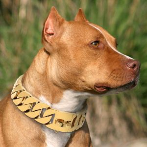 Outdoor Metal Chain Link Do	dog/cat Chain Diamond Collar	crystal Dog Collar - Image 4