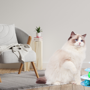 Cat Toys For Indoor Cats Kitten Toys Interactive Cat Toy Cat Puzzle Toy Cat Ball Toy - Image 6