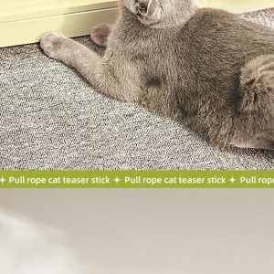 Cat Wand Suction Cup Pet Movement Playing Toy Cat Wand Toys Retractable Cat Teaser Cat Toys Cat Exercise Toys For Indoor Kittens - Image 10